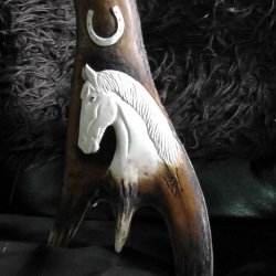 Red Stag Antler - Wild Horse