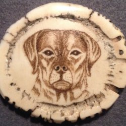 Carved/ scrimshawed antler art piece