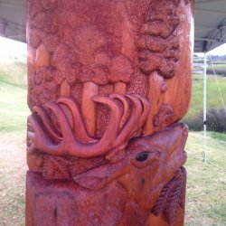 Native timber sculptures